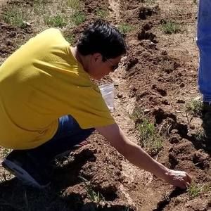 Meet your Posher, Waylon